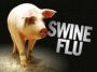 Уроки пандемии свиного гриппа H1N1