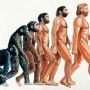 Новая гипотеза  происхождения человека