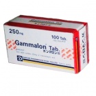  (gammalon) . 250  100