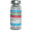 - (kanamycin)  / - 1  1