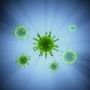Найден механизм «зарядки» иммунитета