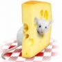 Чем опасен украинский сыр?